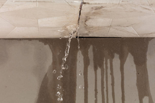 Professional Flood Damage Cleanup technician working in South Houston, TX
